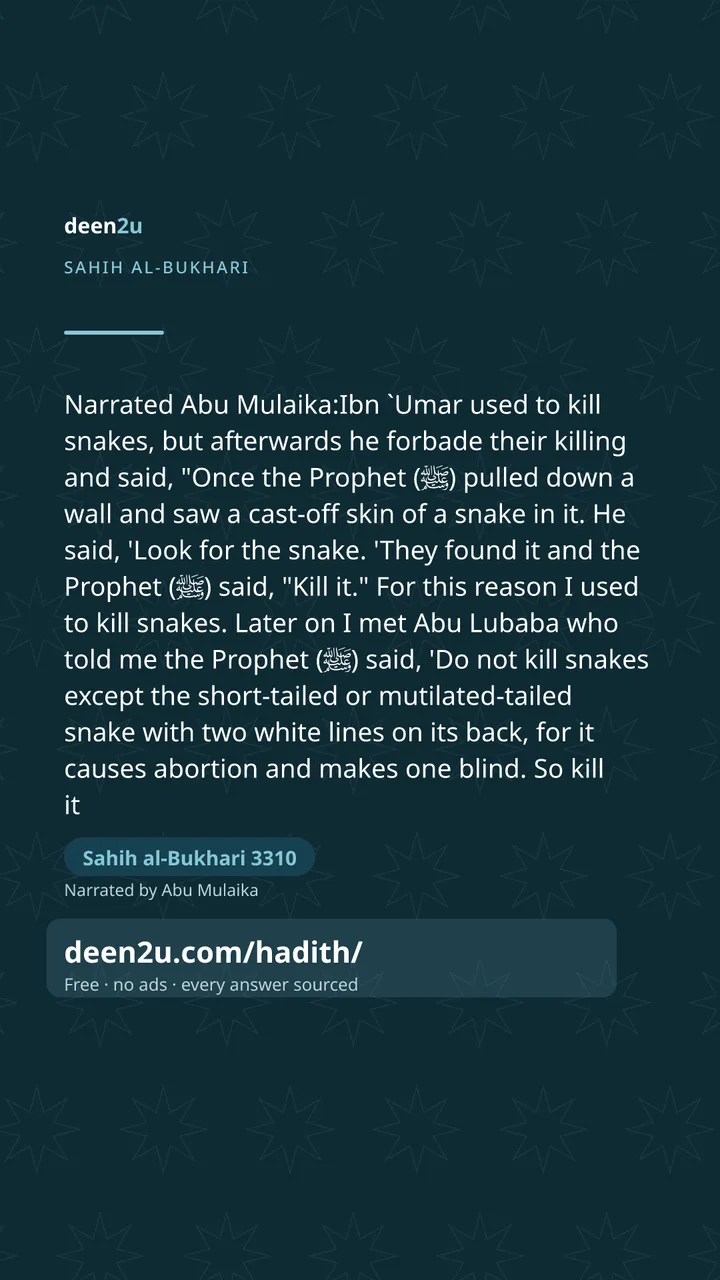 Sahih al-Bukhari 3310