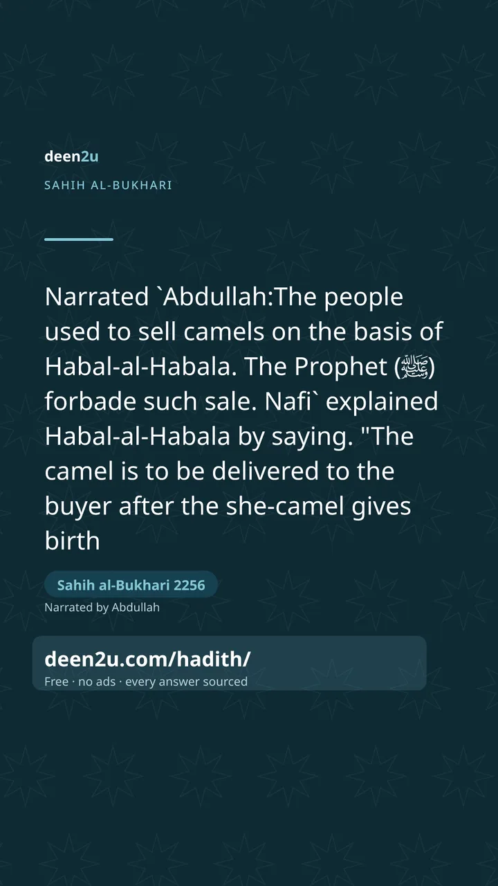 Sahih al-Bukhari 2256
