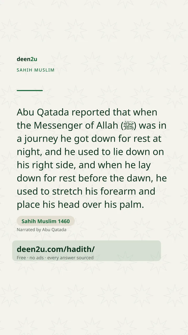 Sahih Muslim 1460