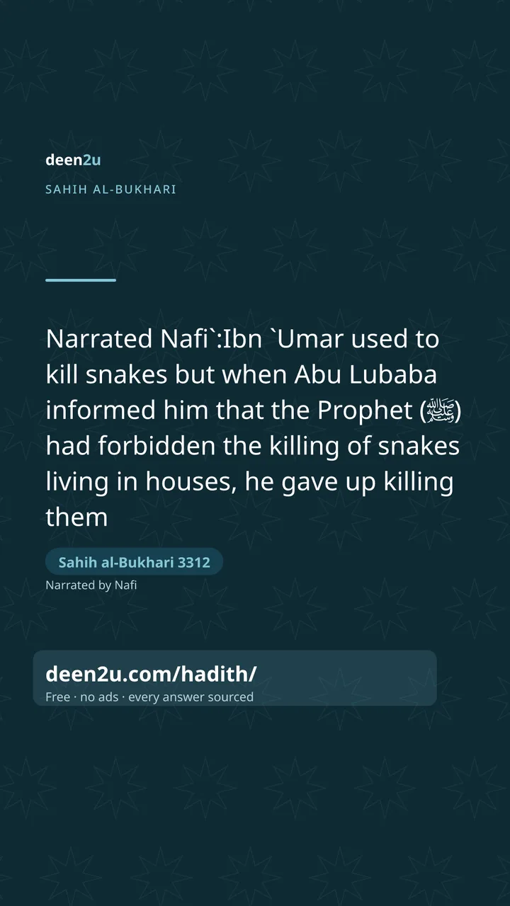 Sahih al-Bukhari 3312