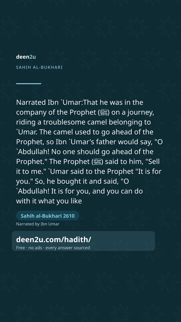 Sahih al-Bukhari 2610