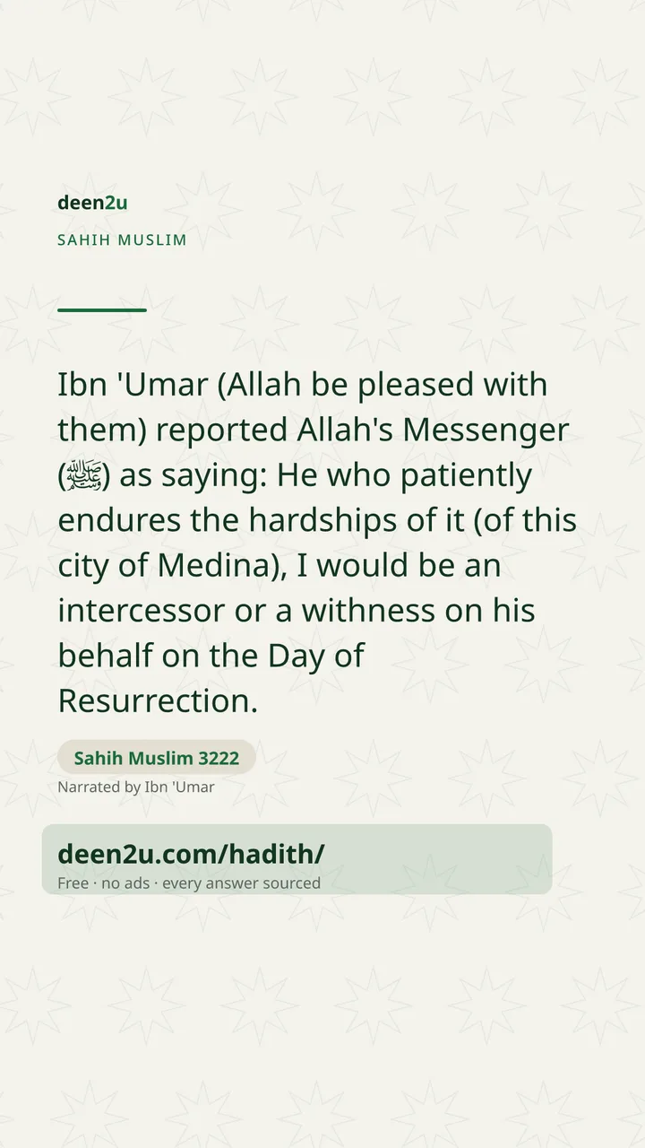 Sahih Muslim 3222