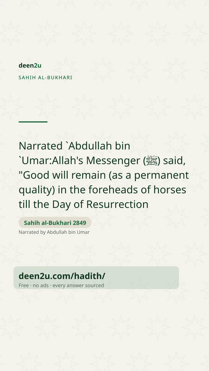 Sahih al-Bukhari 2849