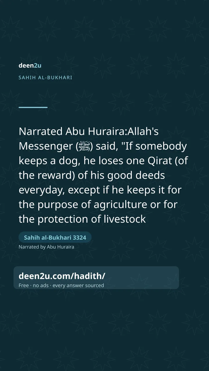 Sahih al-Bukhari 3324