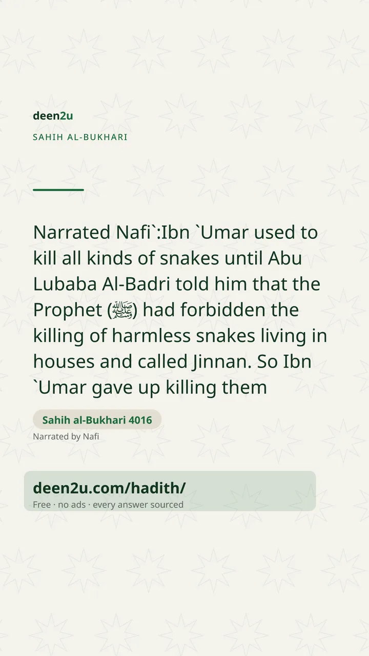 Sahih al-Bukhari 4016