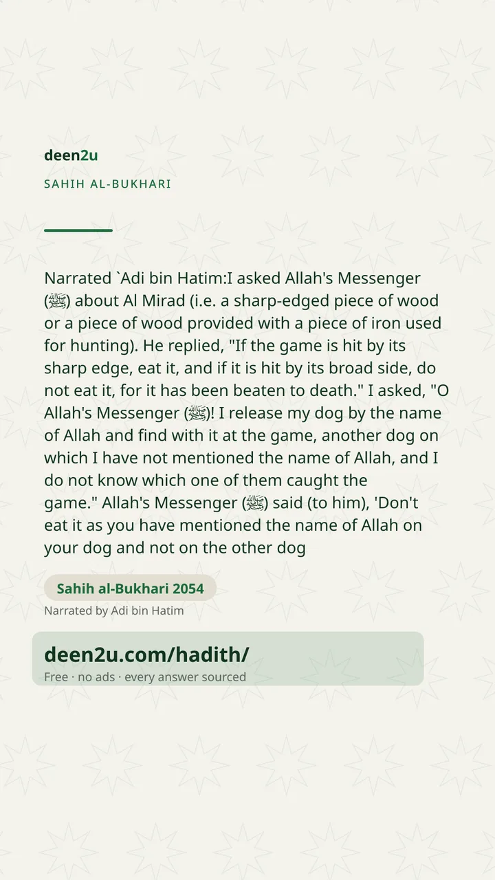 Sahih al-Bukhari 2054