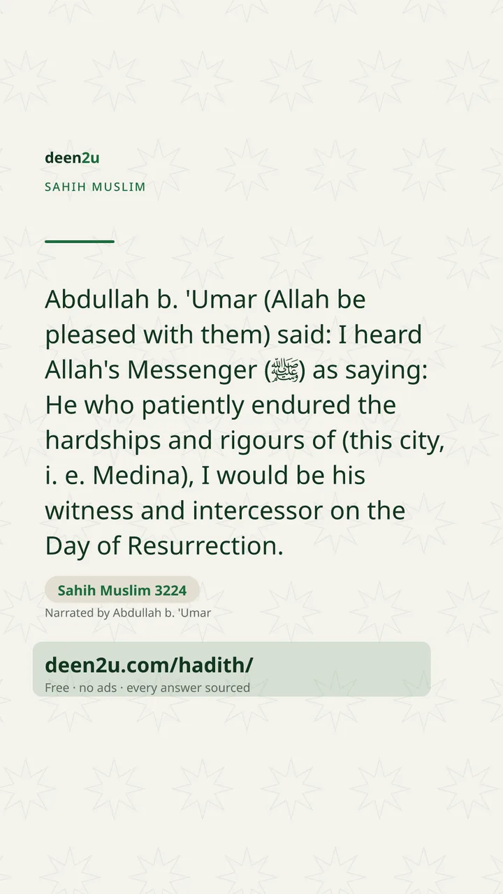 Sahih Muslim 3224