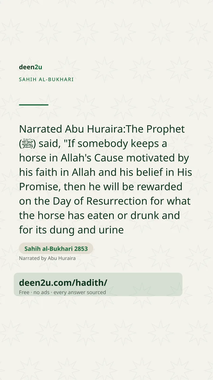 Sahih al-Bukhari 2853