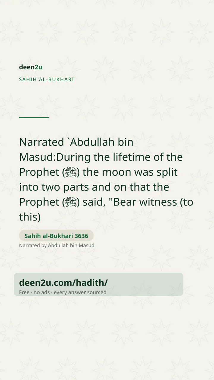 Sahih al-Bukhari 3636