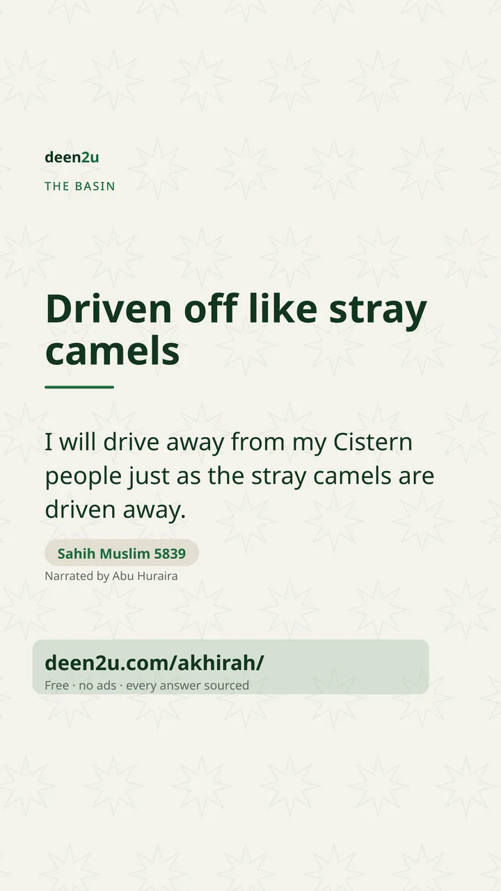 Poster: Driven off like stray camels
