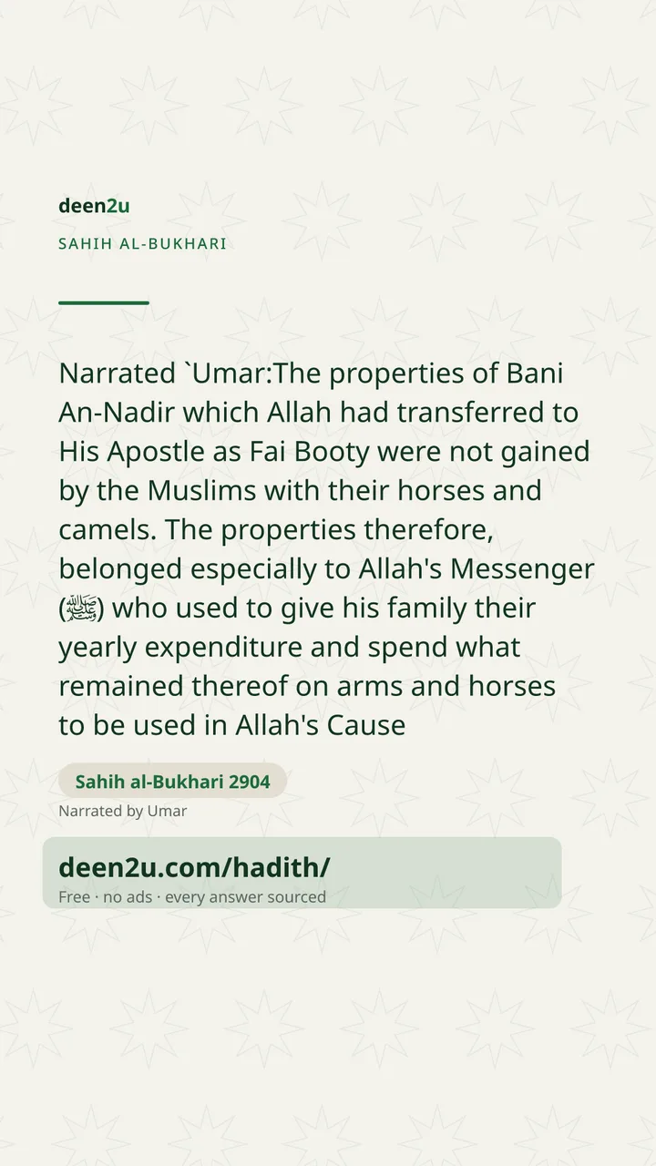 Sahih al-Bukhari 2904