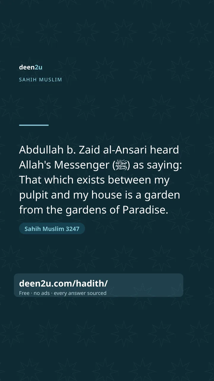 Sahih Muslim 3247