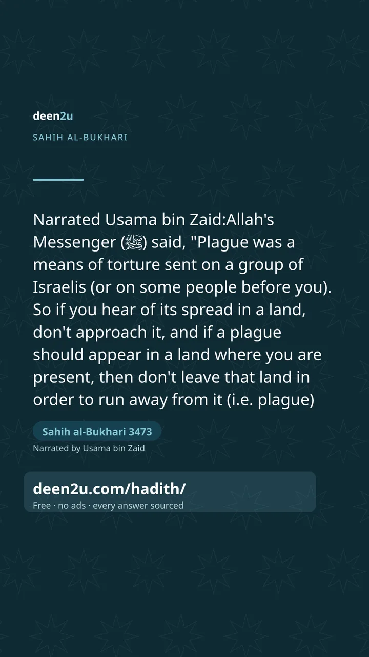 Sahih al-Bukhari 3473