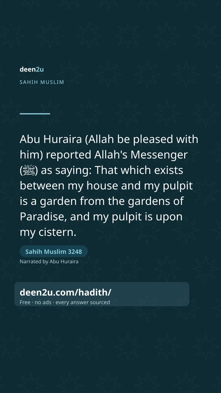 Sahih Muslim 3248