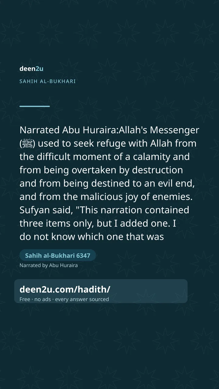 Sahih al-Bukhari 6347