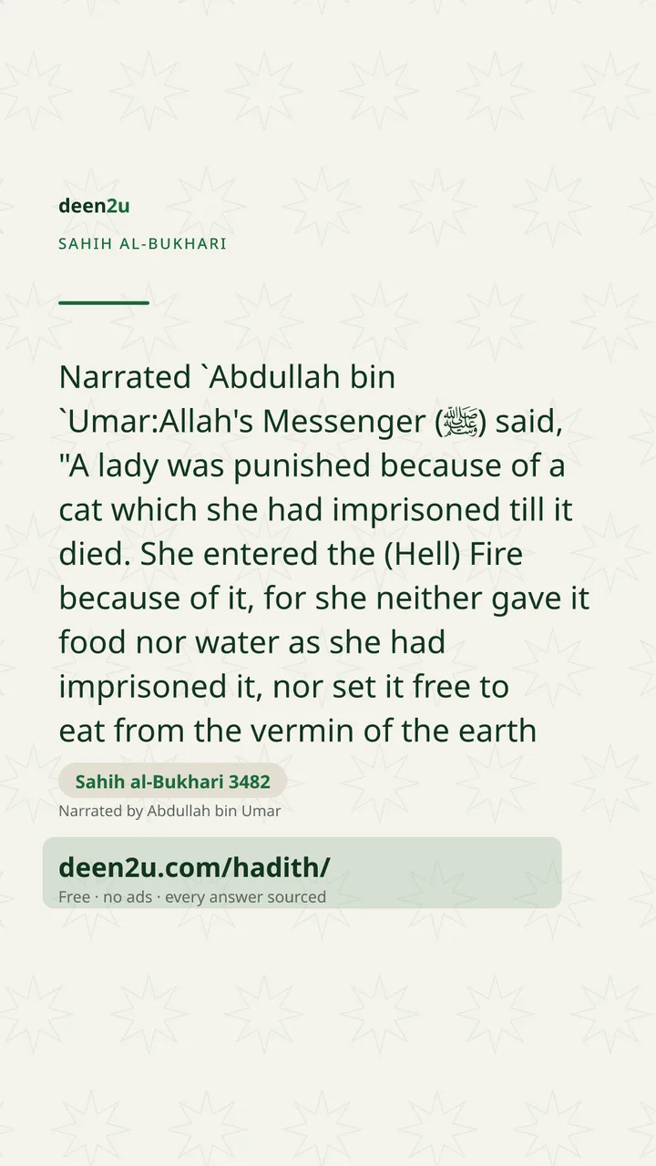 Sahih al-Bukhari 3482