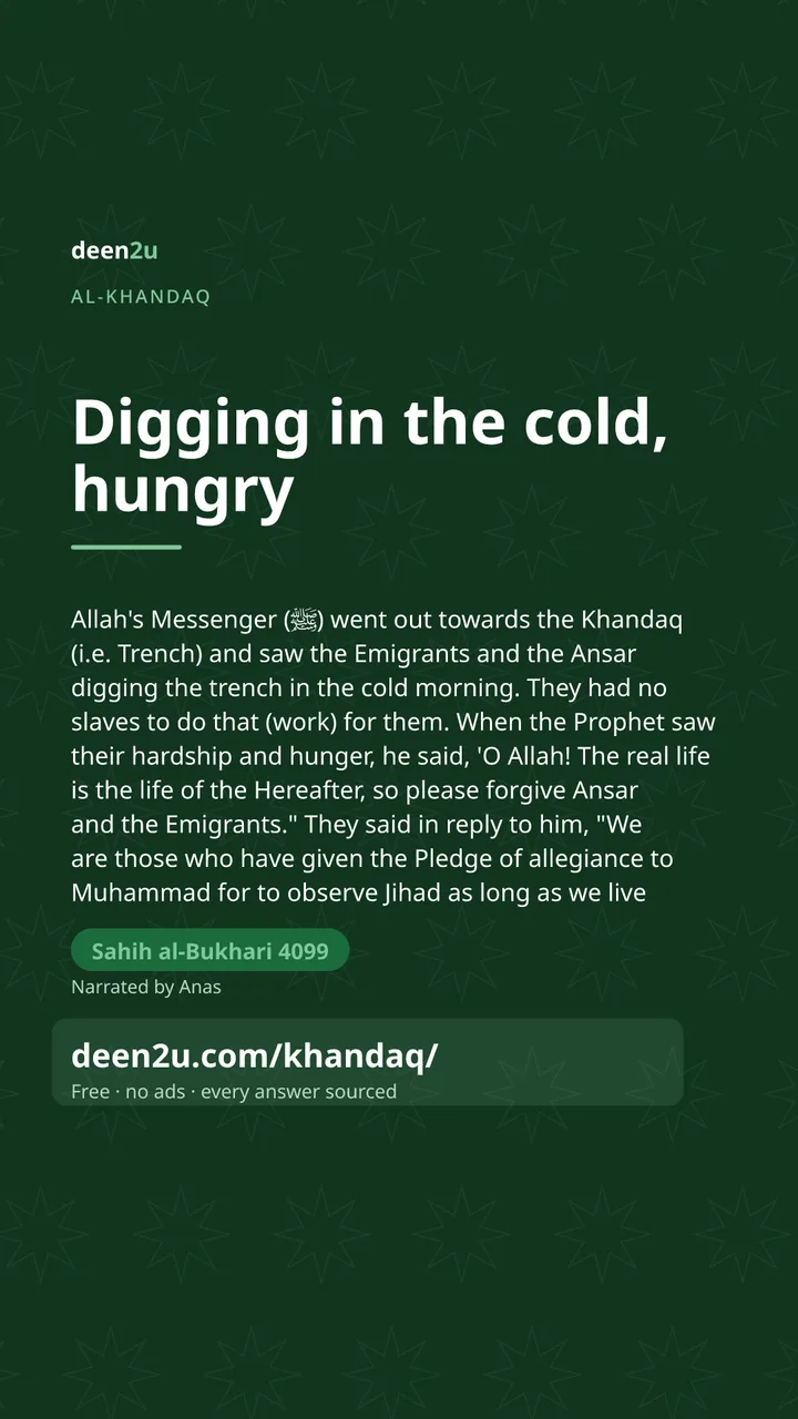 Poster: Digging in the cold, hungry