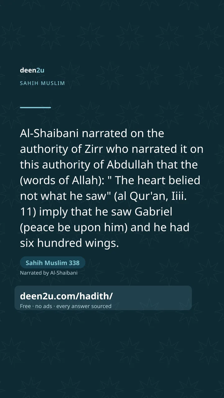 Sahih Muslim 338