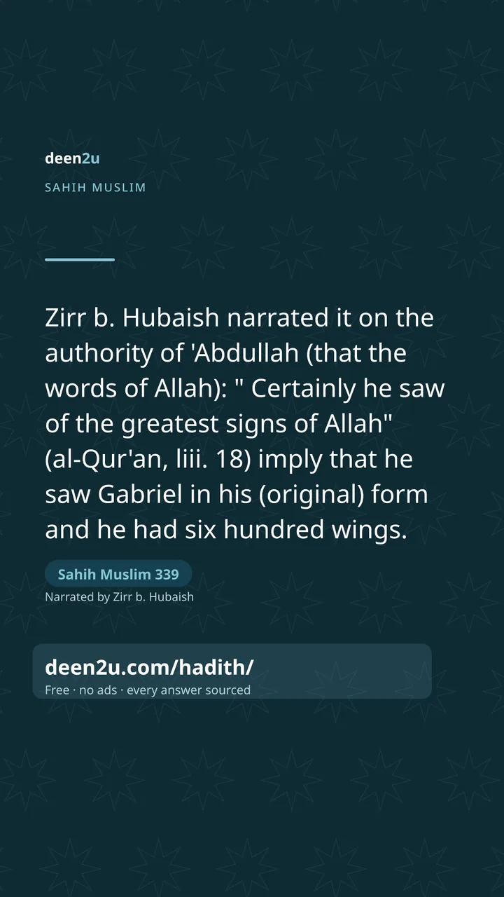 Sahih Muslim 339