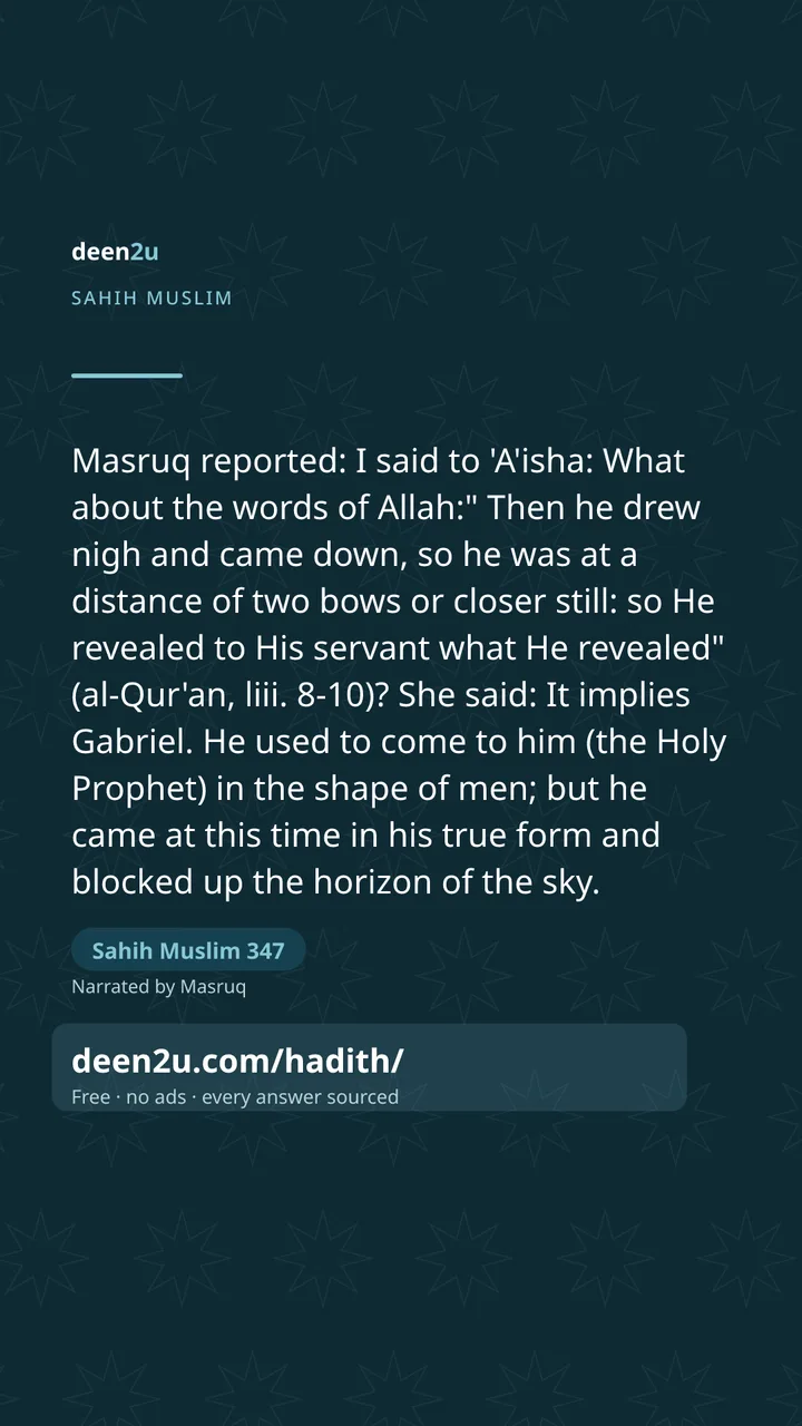 Sahih Muslim 347