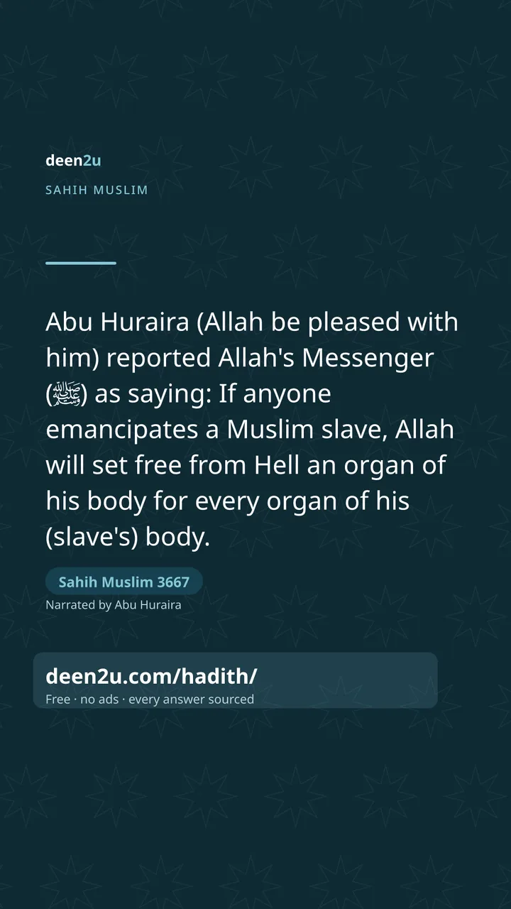 Sahih Muslim 3667