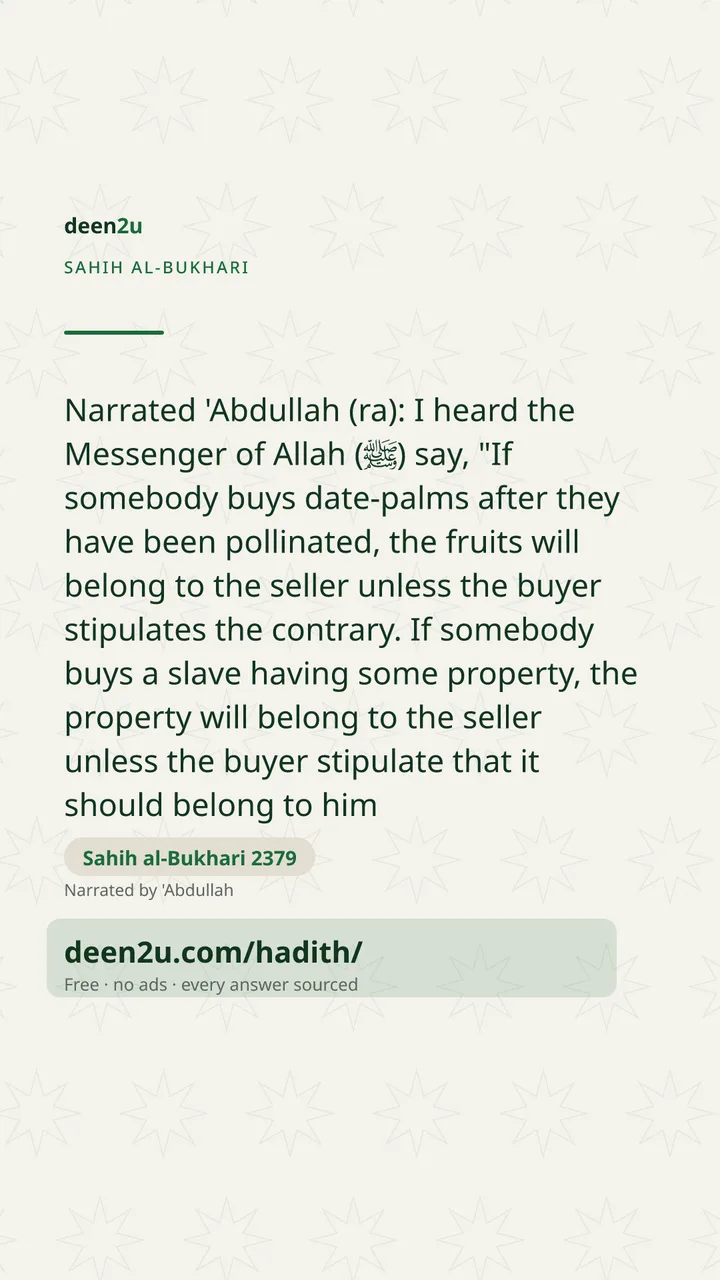 Sahih al-Bukhari 2379