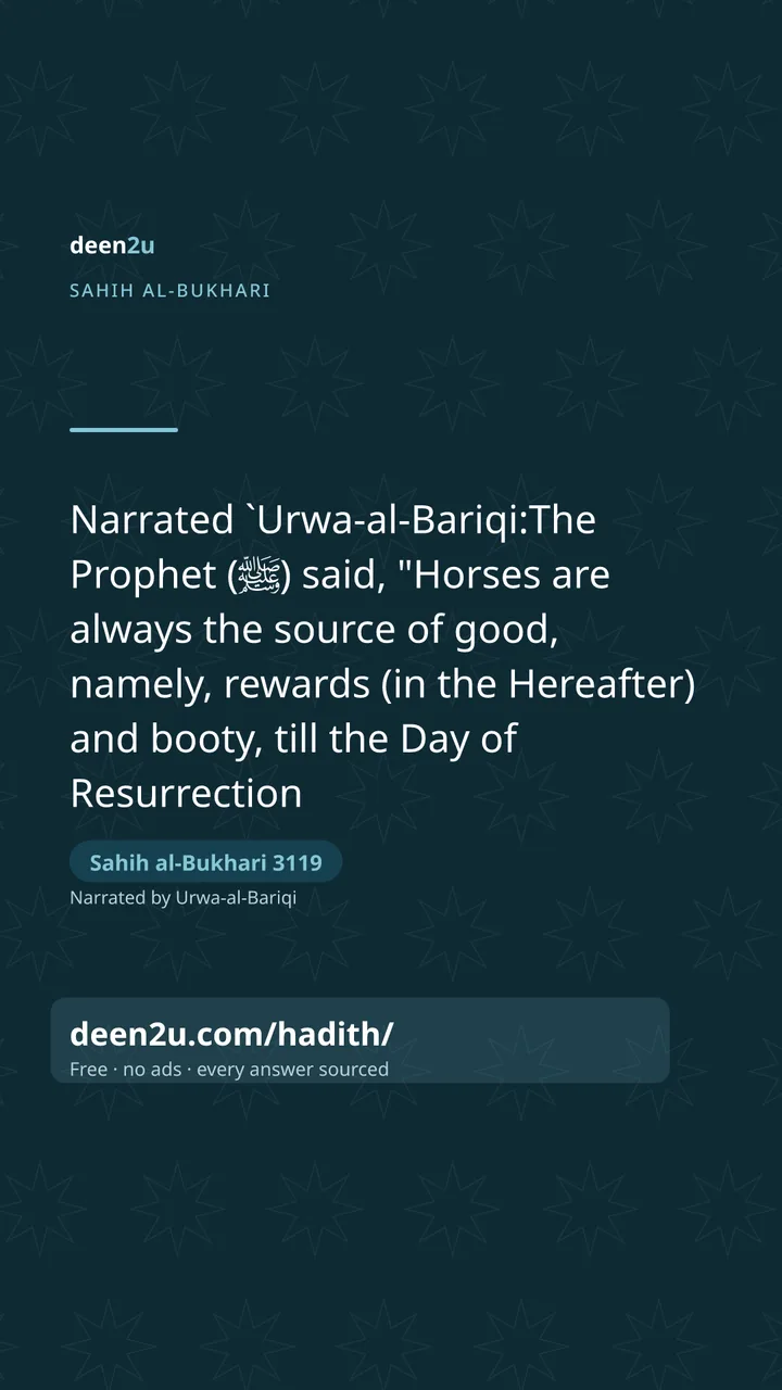 Sahih al-Bukhari 3119
