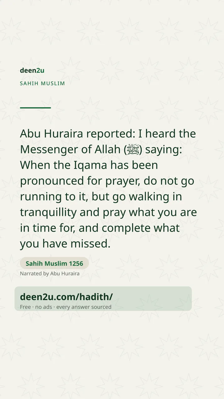 Sahih Muslim 1256