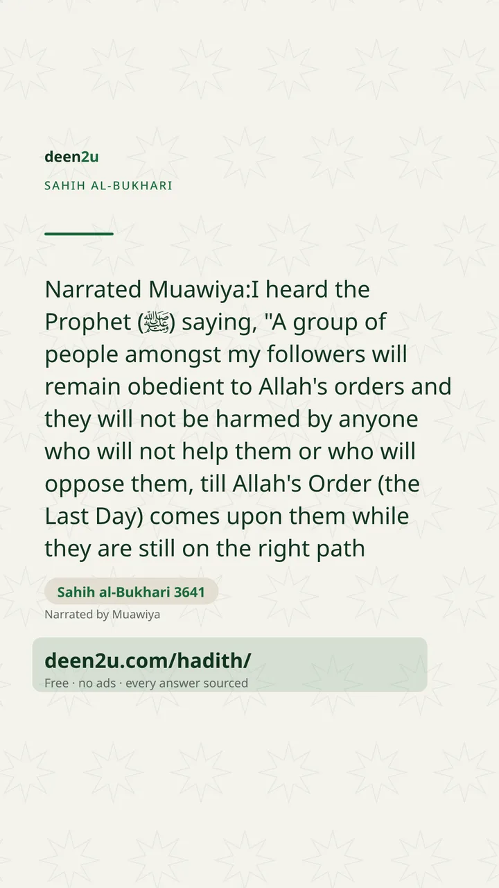 Sahih al-Bukhari 3641