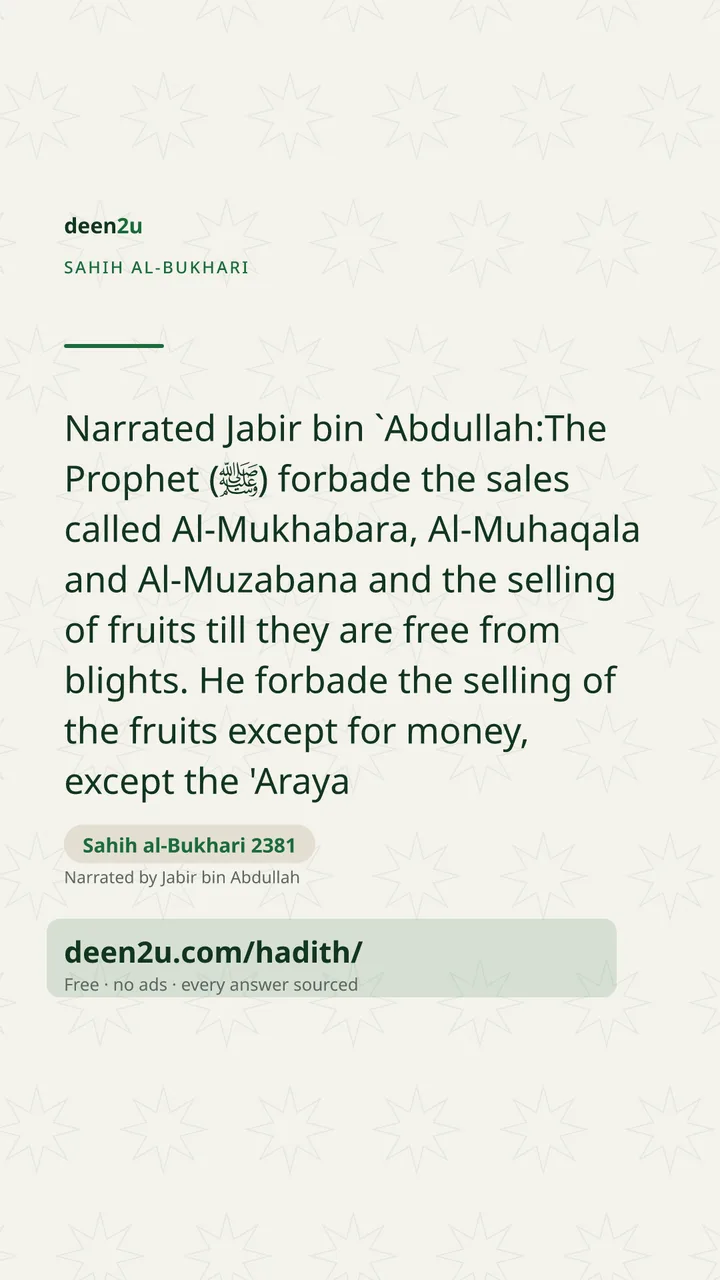 Sahih al-Bukhari 2381