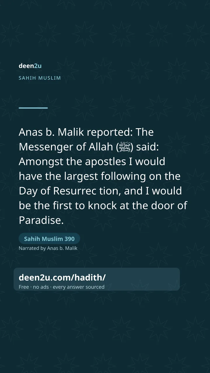 Sahih Muslim 390