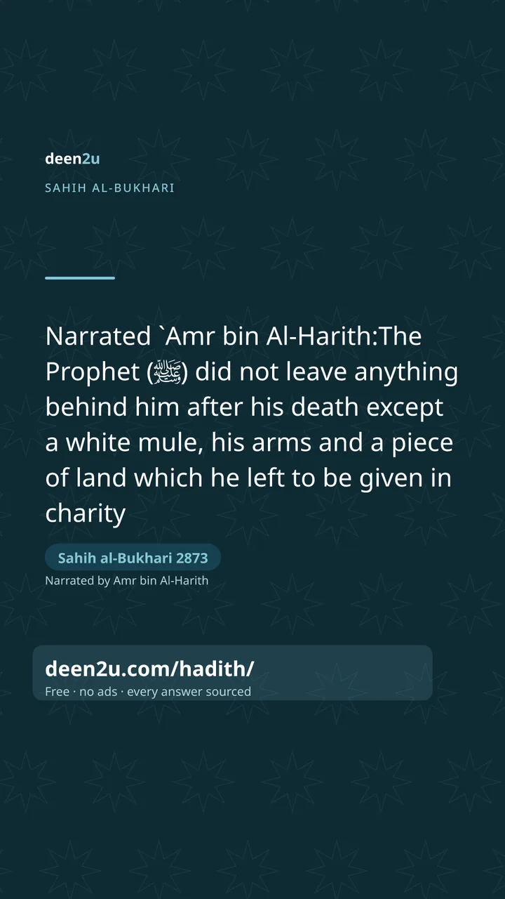Sahih al-Bukhari 2873
