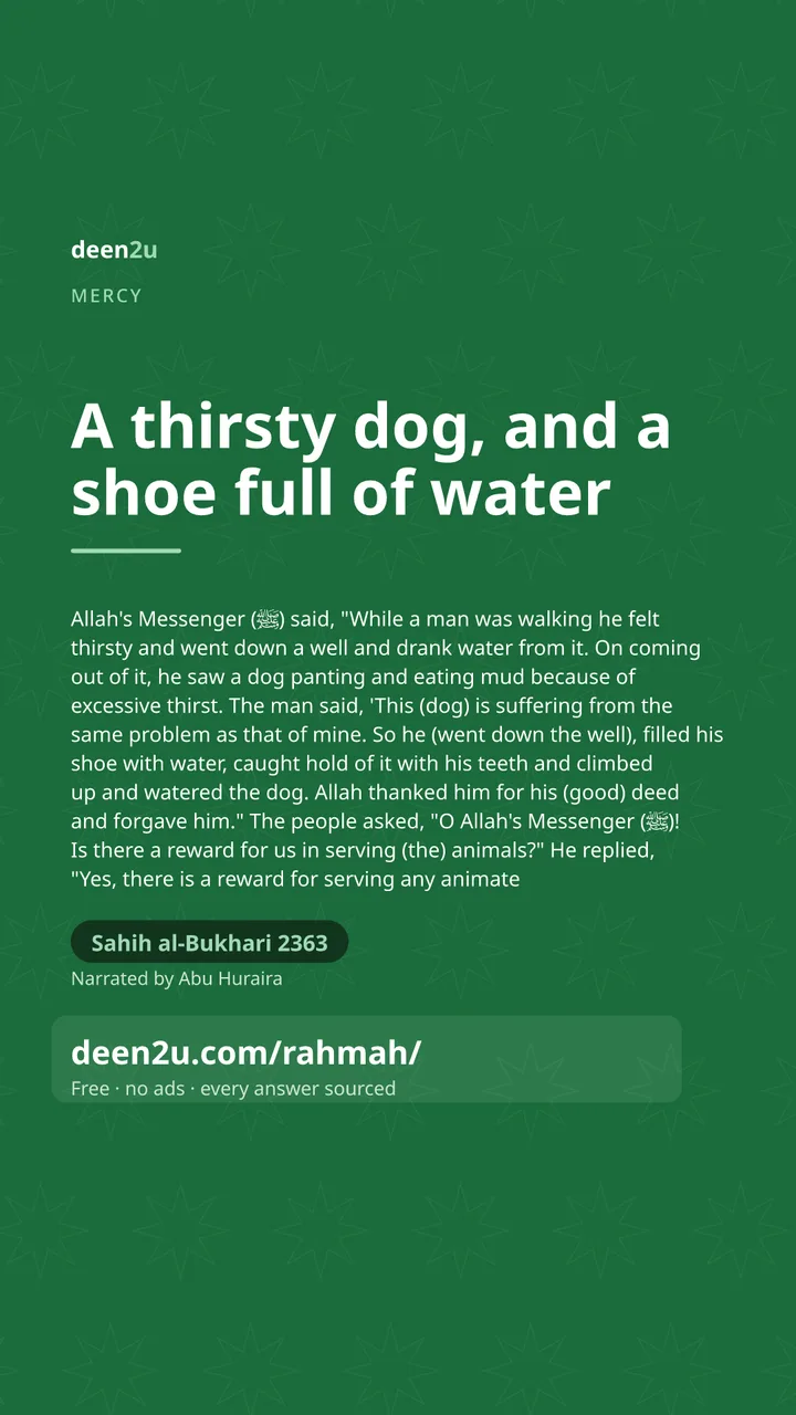 Poster: A thirsty dog, and a shoe full of water