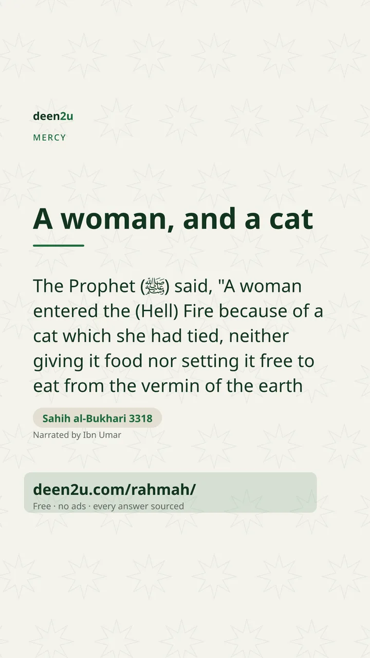 Poster: A woman, and a cat