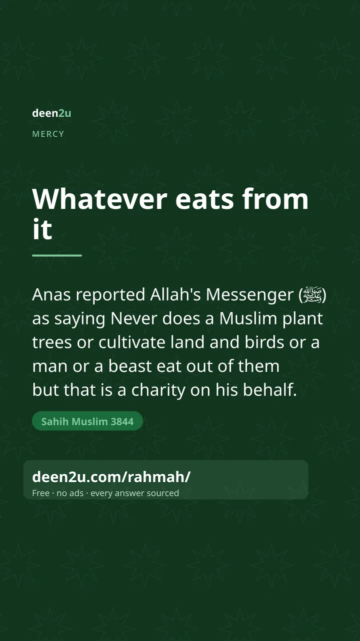 Poster: Whatever eats from it