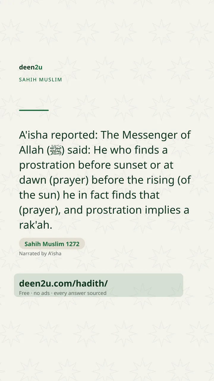 Sahih Muslim 1272