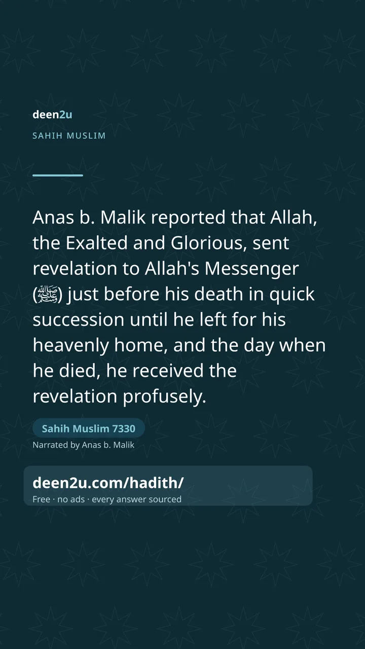 Sahih Muslim 7330