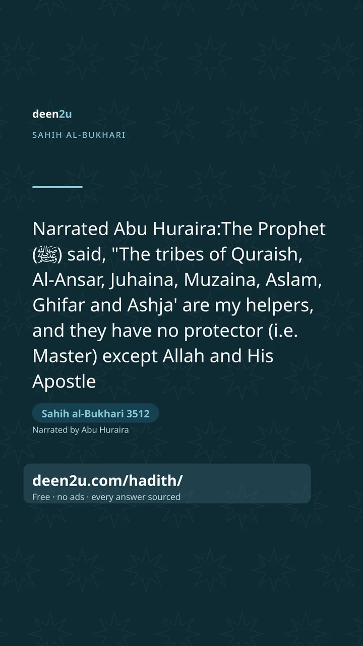 Sahih al-Bukhari 3512