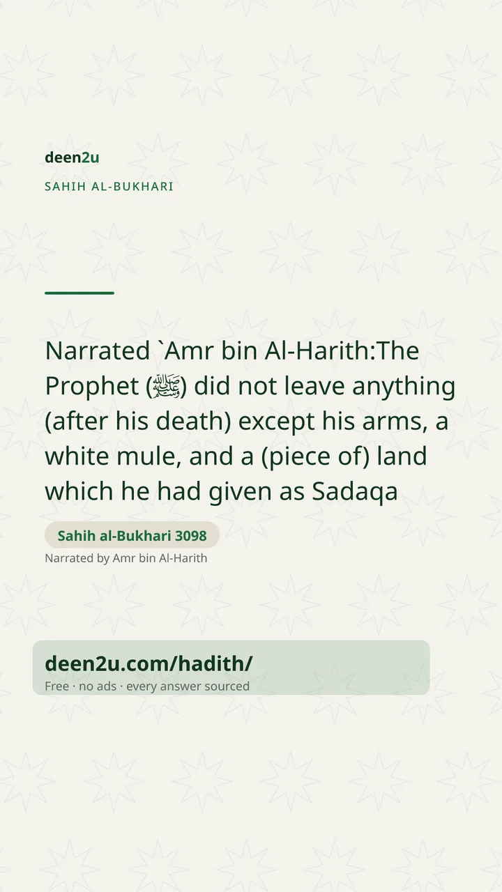 Sahih al-Bukhari 3098