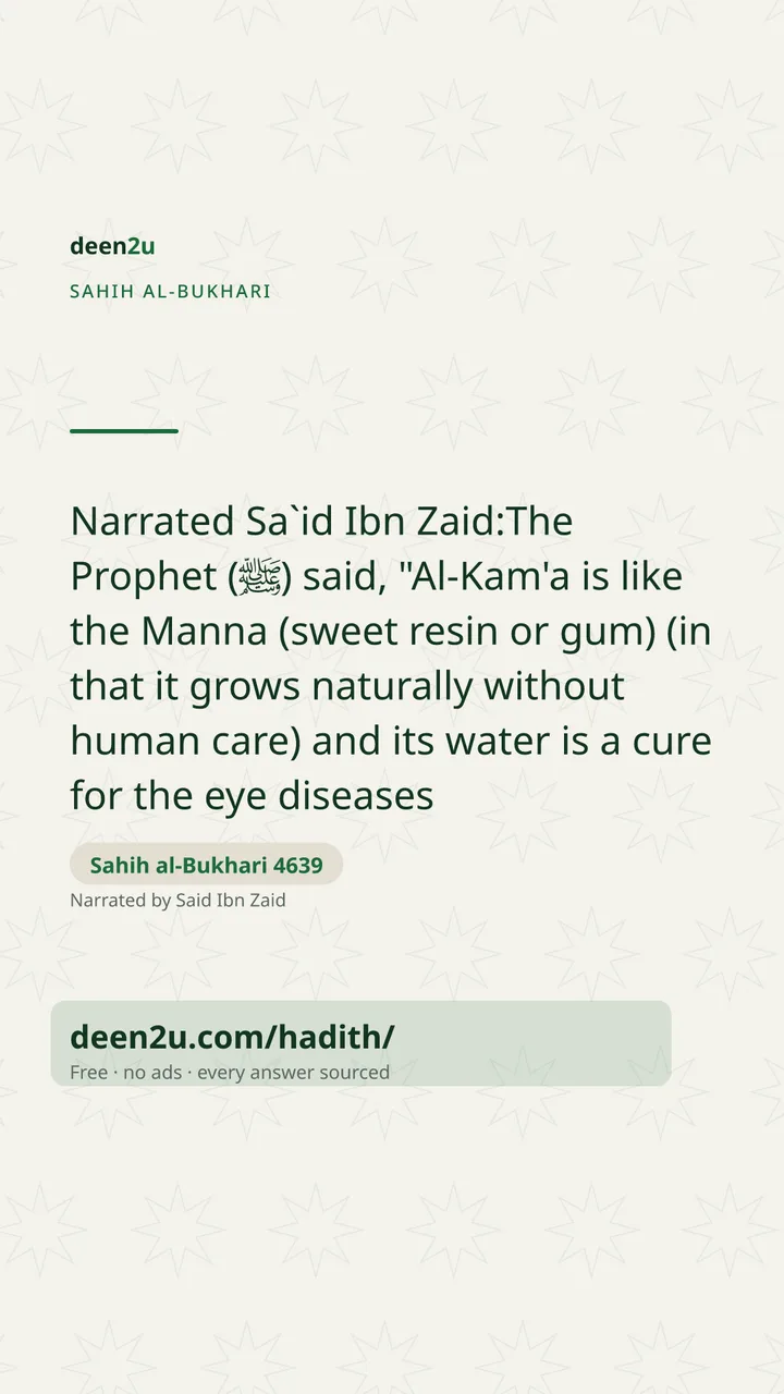 Sahih al-Bukhari 4639
