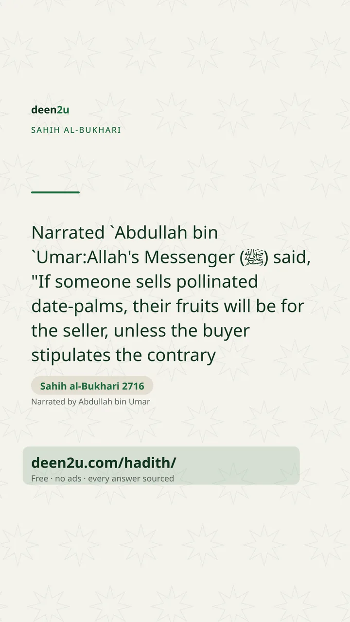 Sahih al-Bukhari 2716