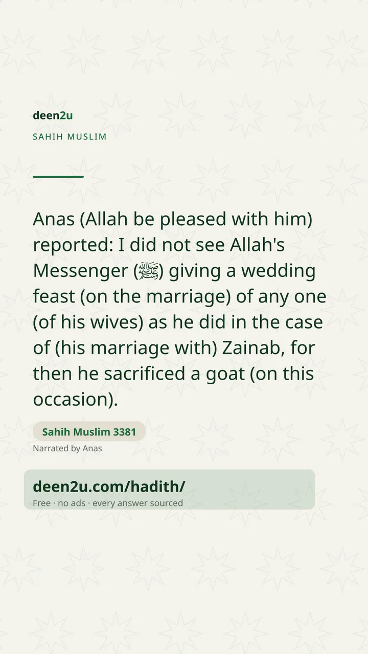 Sahih Muslim 3381
