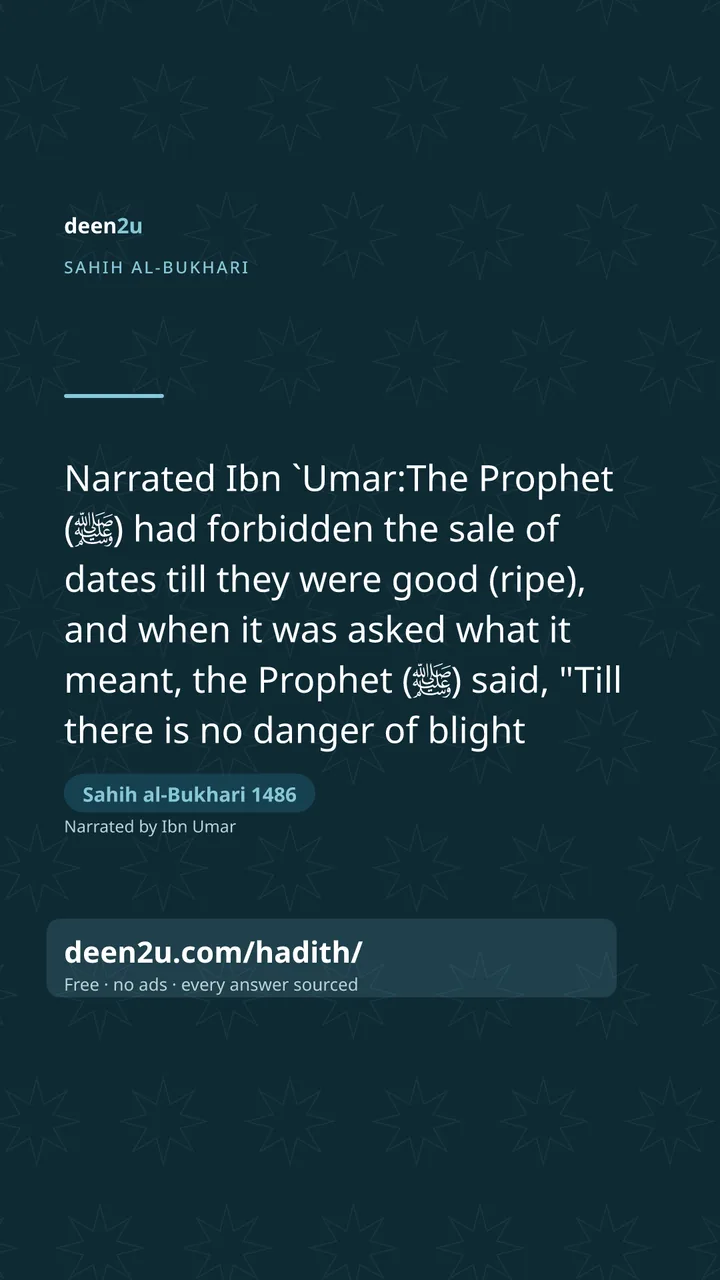 Sahih al-Bukhari 1486