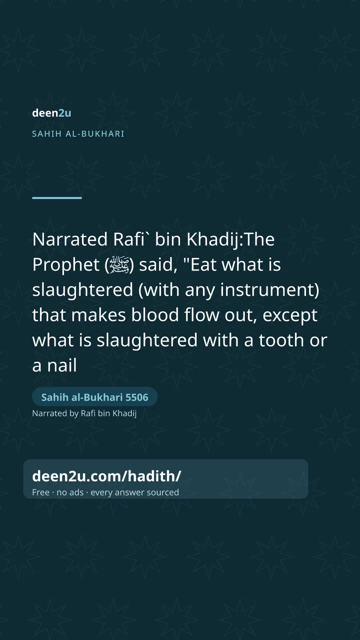 Sahih al-Bukhari 5506