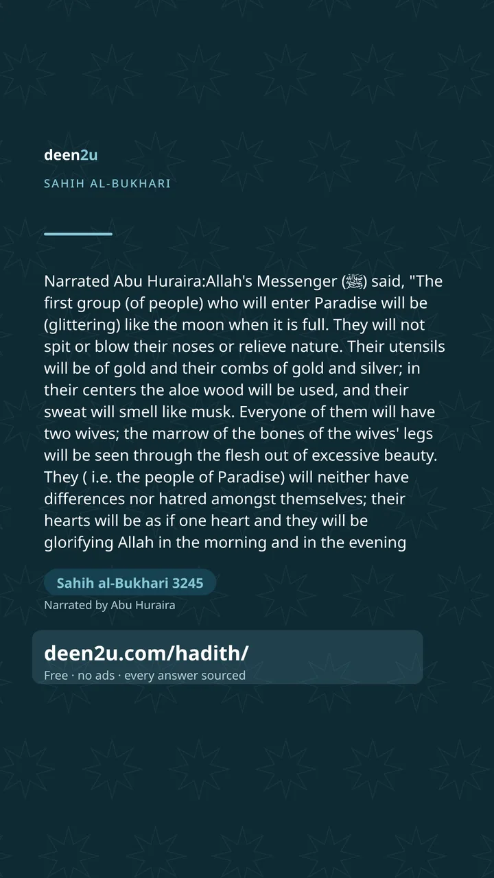 Sahih al-Bukhari 3245