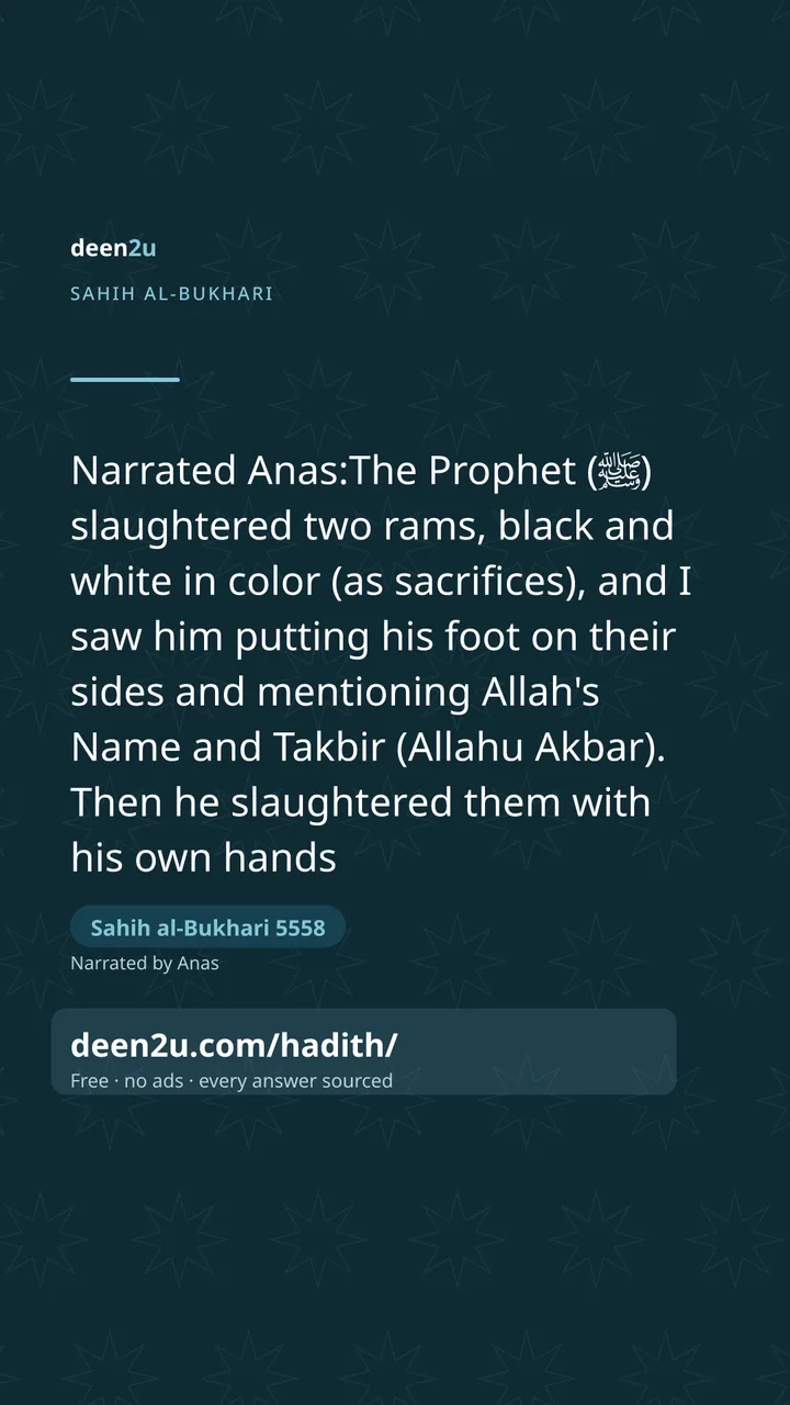 Sahih al-Bukhari 5558