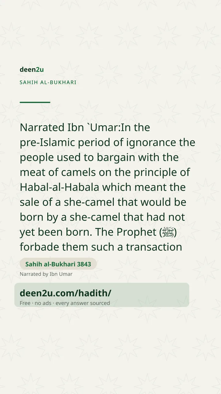 Sahih al-Bukhari 3843
