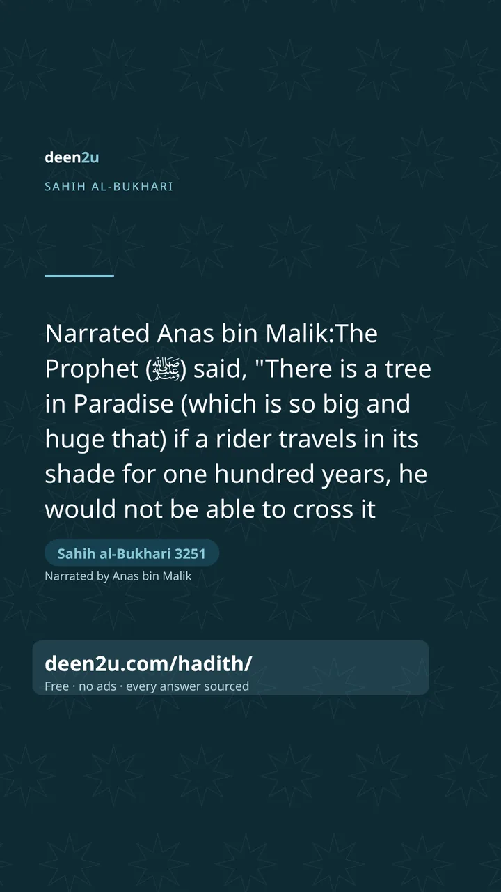 Sahih al-Bukhari 3251