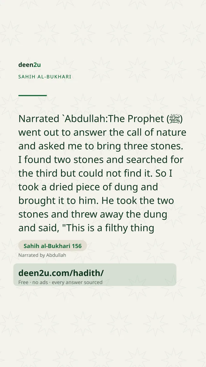 Sahih al-Bukhari 156