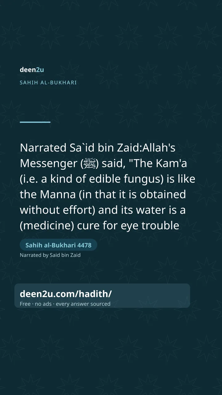 Sahih al-Bukhari 4478
